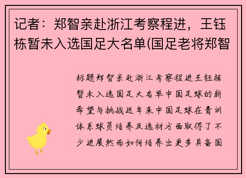 记者：郑智亲赴浙江考察程进，王钰栋暂未入选国足大名单(国足老将郑智)